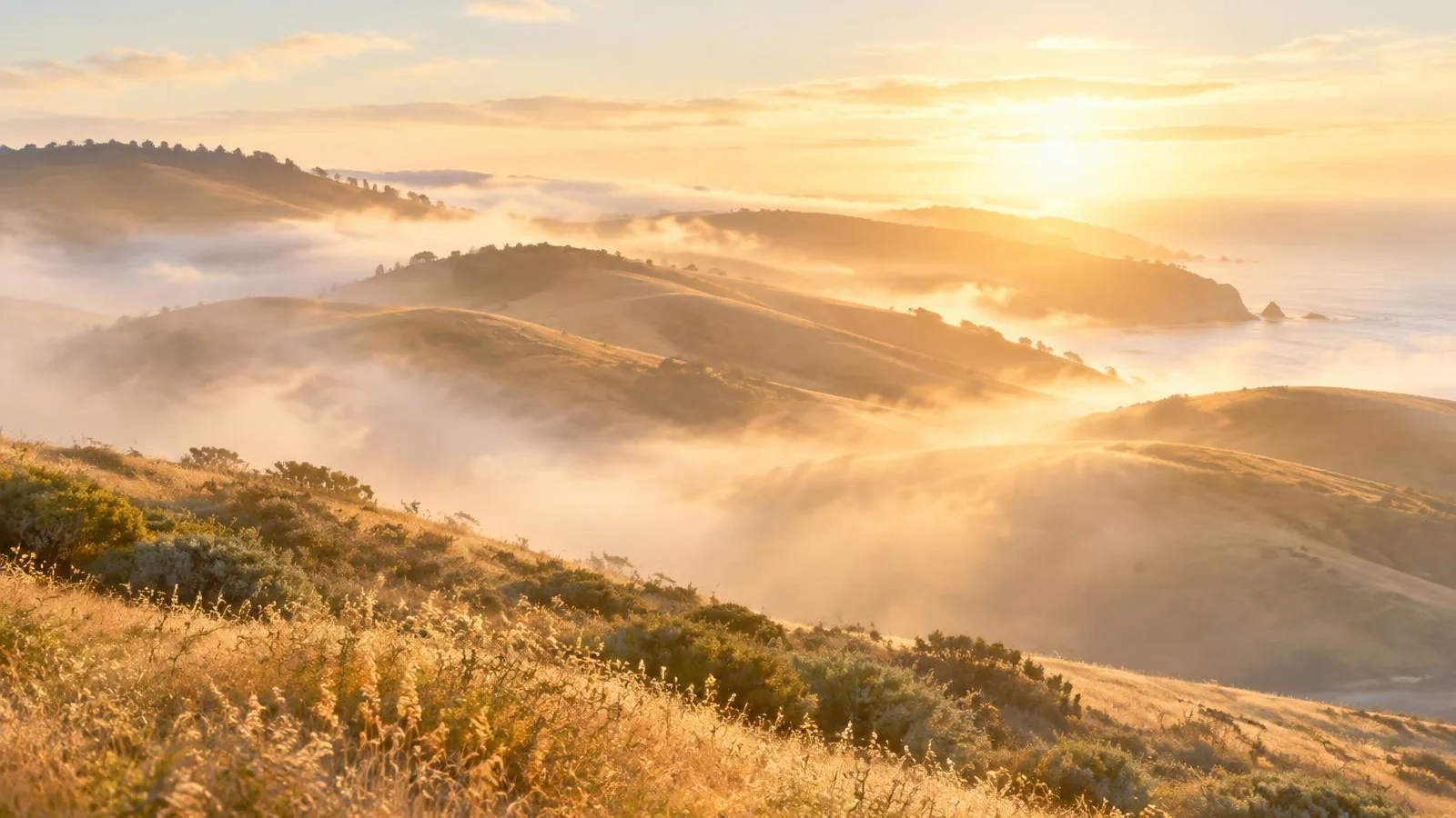 Morning fog lifting off golden coastal hills as the first warm light breaks through