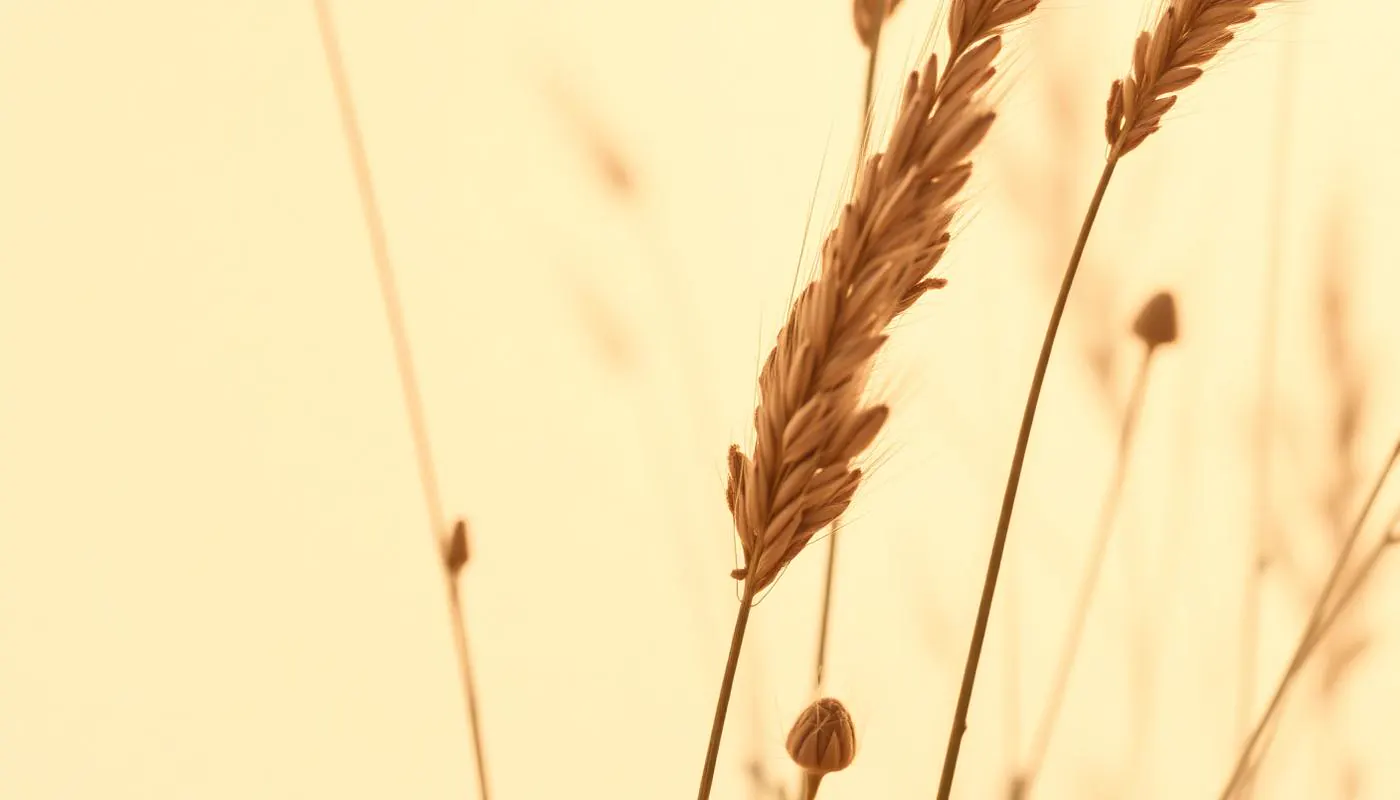Tall golden grasses moving in a light breeze